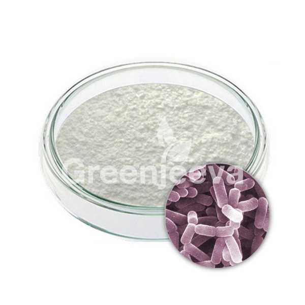 Bifidobacterium lactis powder 600B CFU/G