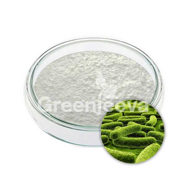 Lactobacillus acidophilus powder 200 B cfu/g