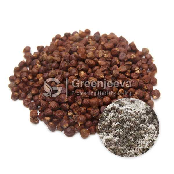 Grains of Paradise Extract Powder 12.5% 6-Paradol, HPLC