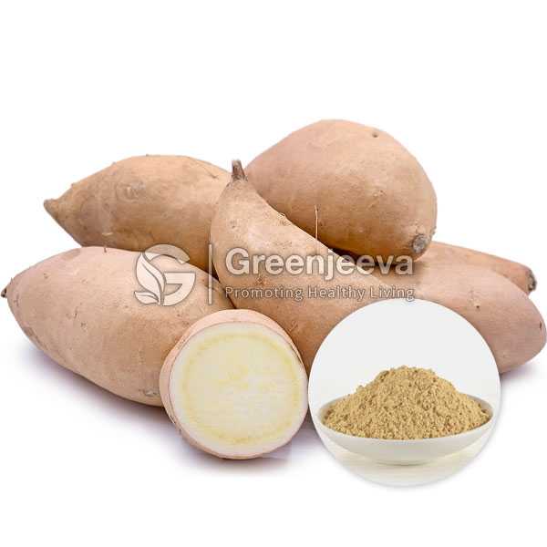 Organic Sweet Potato Powder, Golden