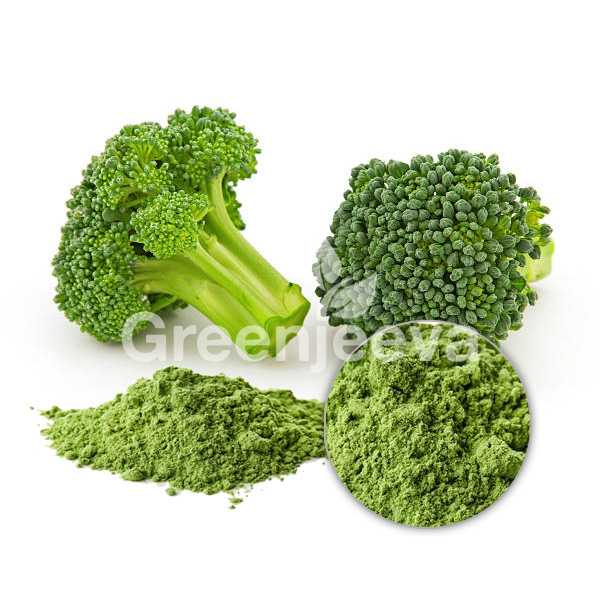 Organic Broccoli sprouts Powder, Fd