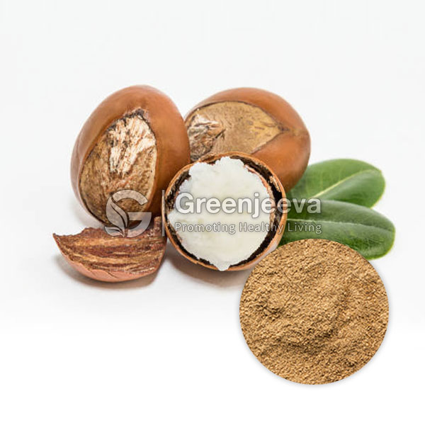 Soap Nut Extract Powder 20% Saponin, Gravimetry