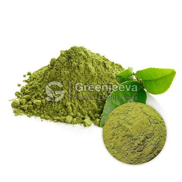 Green Tea Extract Powder 50% Caffeine, HPLC
