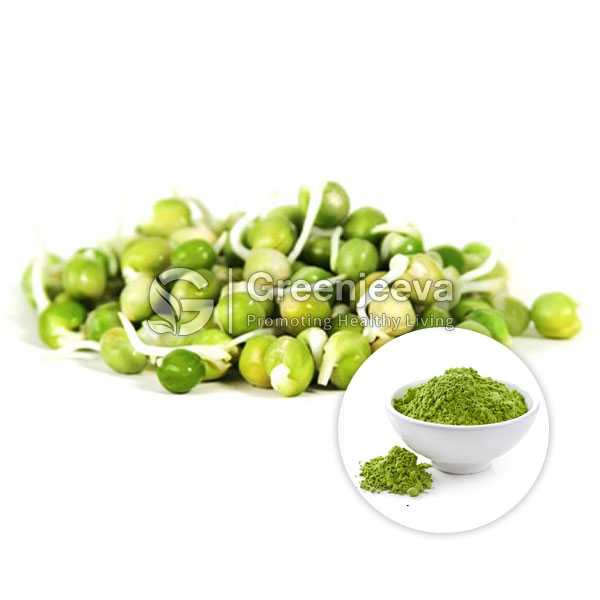 Green Pea Sprout Seed Powder