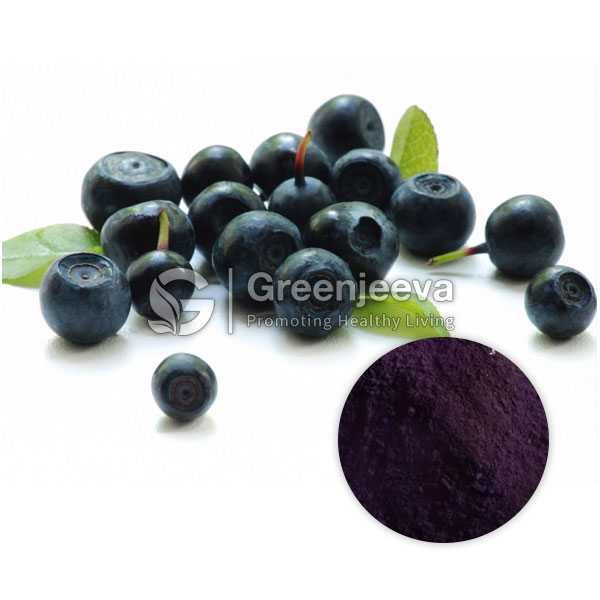 Acai Berry extract powder 4:1 