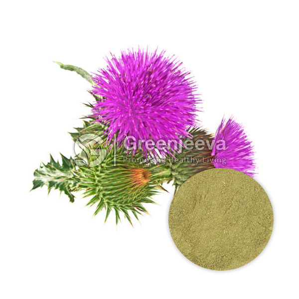 Blessed Thistle Herb Powder