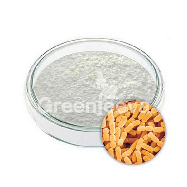 Lactobacillus plantarum powder 400 B CFU/G