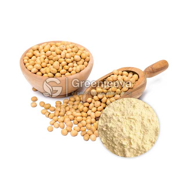 Organic Soy Protein Powder 65%