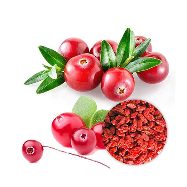 Organic Cranberry Extract Powder 4:1