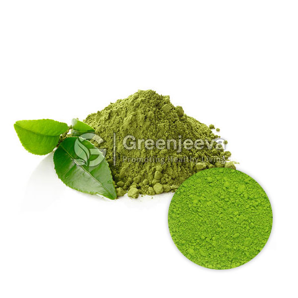 Green Tea Extract Powder 15% Polyphenol, UV