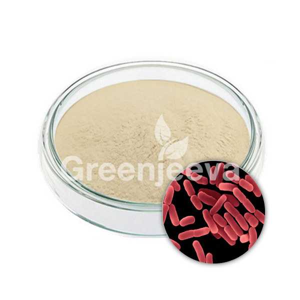 Bacillus subtilis powder 200 B CFU/G