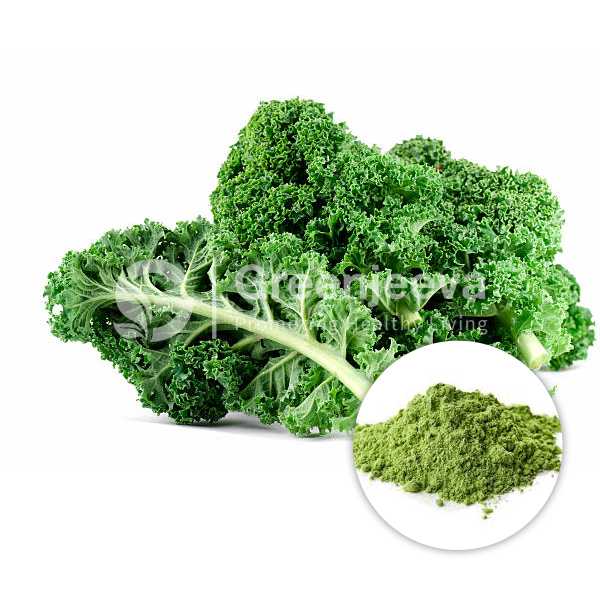 Organic kale powder 