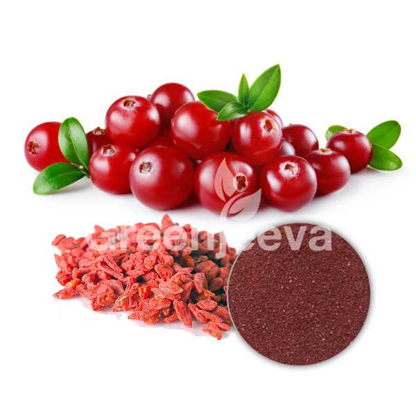 Organic Cranberry fruit powder