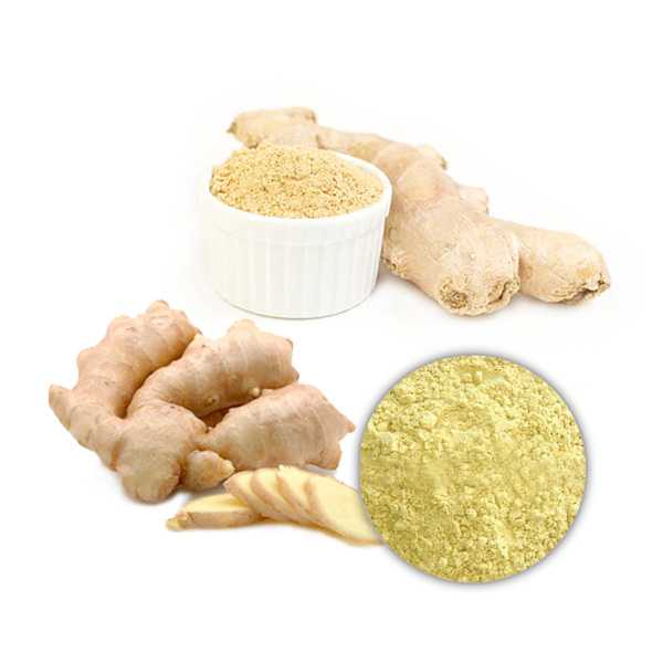 Ginger Extract Powder 2.5% Gingerol HPLC