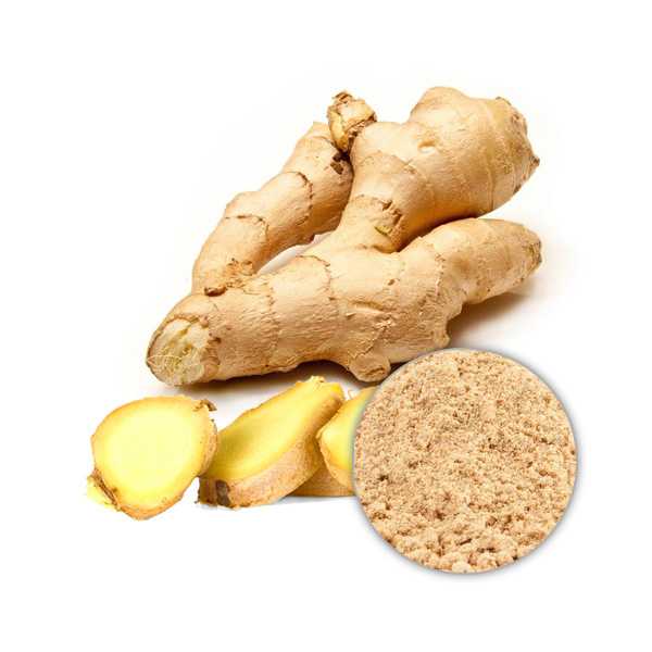 Ginger Extract Powder 5% Gingerol, HPLC