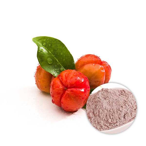 Acerola Fruit Extract Powder 25% Vitamin C