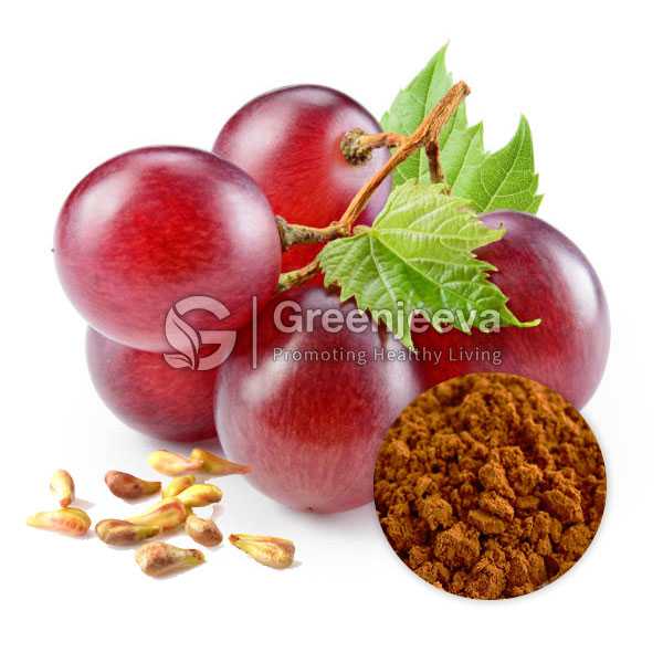 Grape Seed Extract Powder 95% Oligomeric Proanthocyanidins