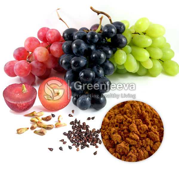 Grape Seed Extract Powder 98% Oligomeric Proanthocyanidins, UV