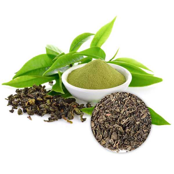 Green Tea Extract Powder 98% Polyphenol, 50% Egcg