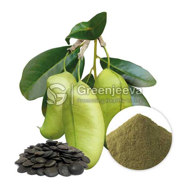 Griffonia Seed Extract Powder 99% 5-htp