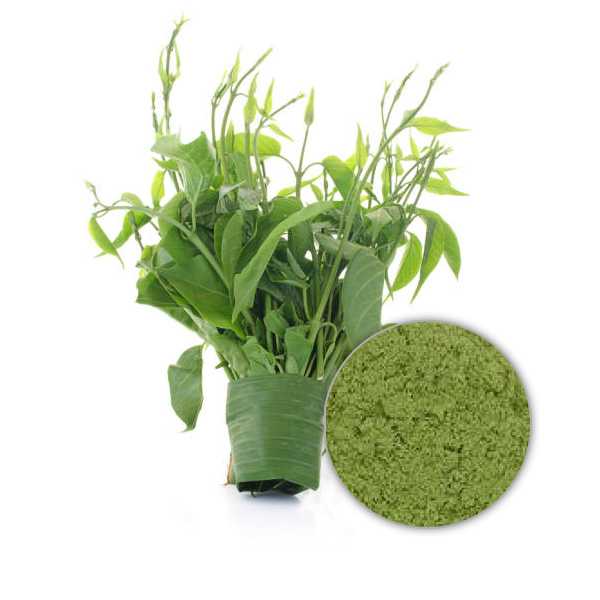 Organic Gymnema Sylvestre Leaf Powder