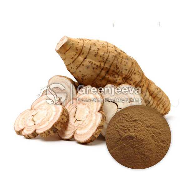 Kudzu Root Extract Powder 40% Hplc