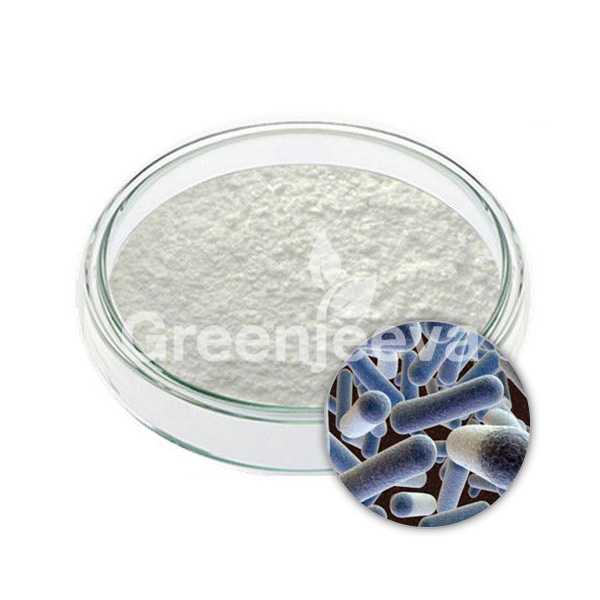 Lactobacillus gasseri Powder 250 Billion CFU/g