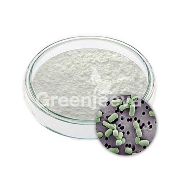 Lactobacillus rhamnosus Powder 100 Billion CFU/g