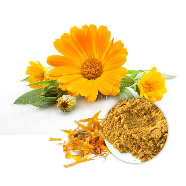 Organic Marigold Extract Powder 20% Lutein  HPLC