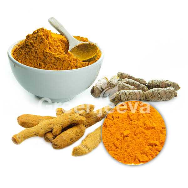 Organic Turmeric Extract Powder 4:1