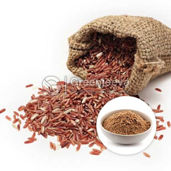Organic Brown Rice Protein Powder