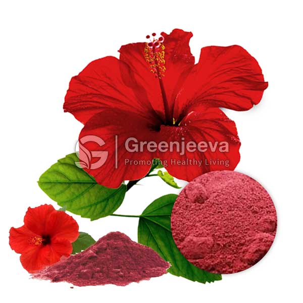 Organic Hibiscus Flower Powder