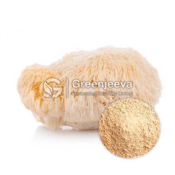 Organic Lion'S Mane Powder