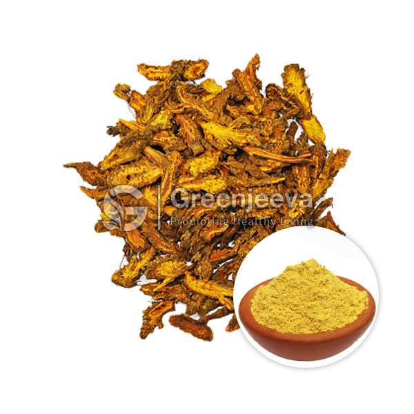 Coptis Chinensis Root Extract Powder 10:1