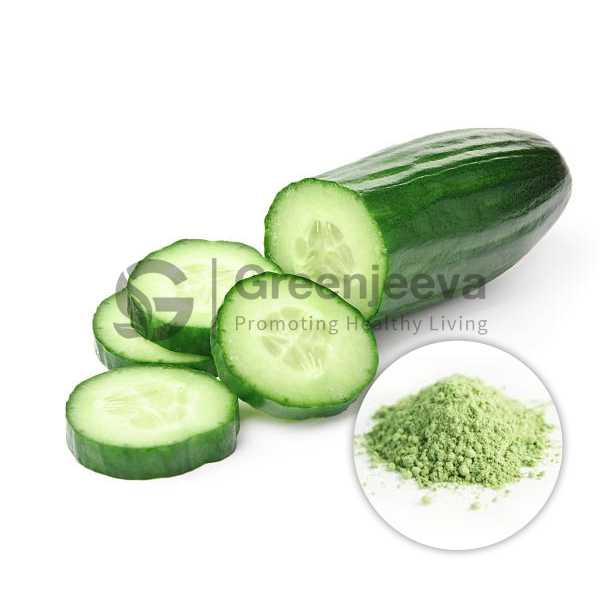 Cucumber Fruit Extract Powder 10:1