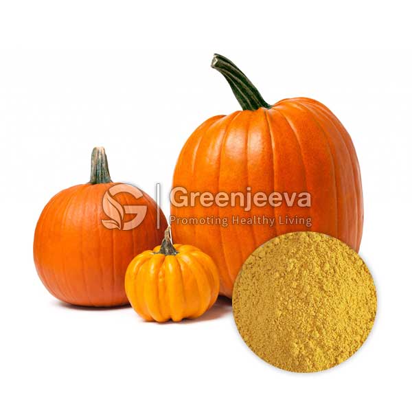 Organic Pumpkin Fruit Powder