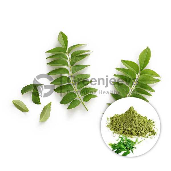 Curry leaves, Dehydrated