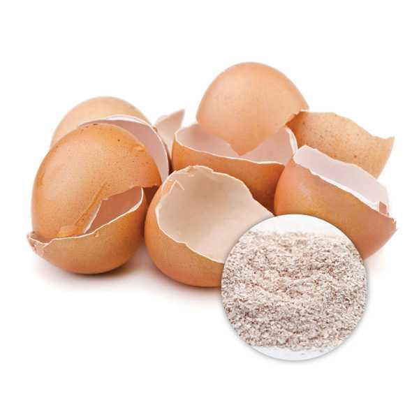 Egg Shell Membrane  Powder