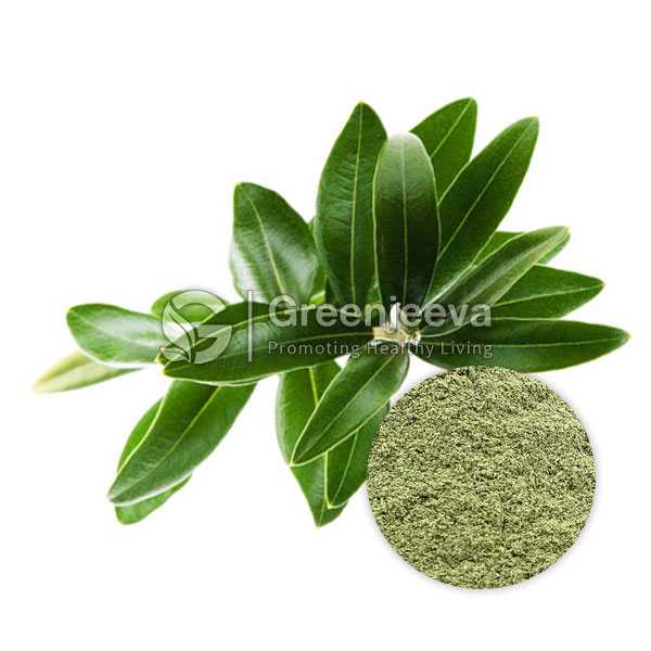 Organic Olive Leaf Powder