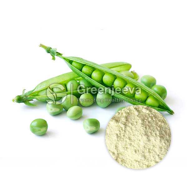 Organic Pea Protein Powder 80%