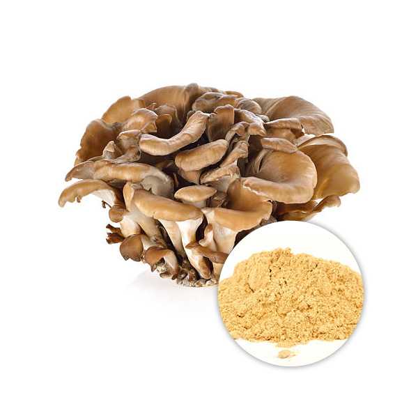 Organic Mushroom Blend Powder