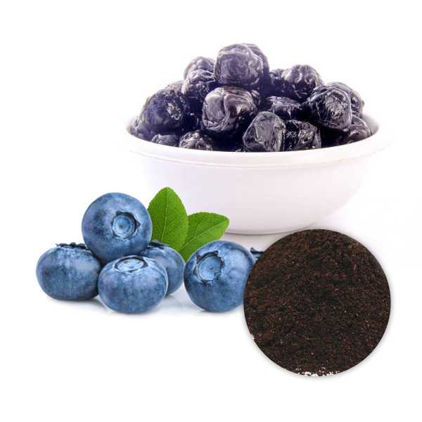 Organic Blueberry Extract Powder 4:1