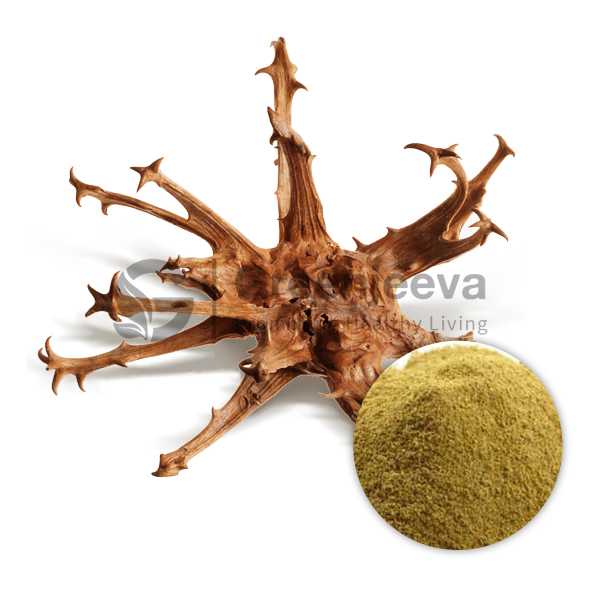 Devils Claw Extract Powder 10:1