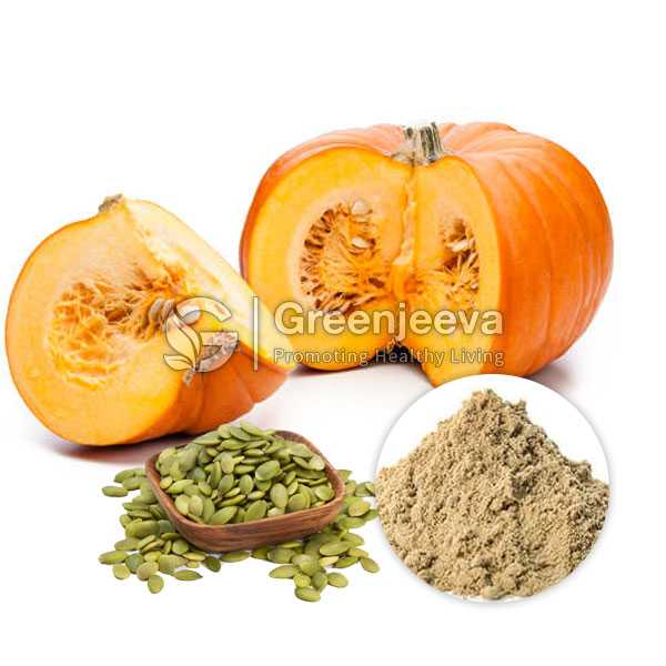 Pumpkin Seed Extract Powder 10:1