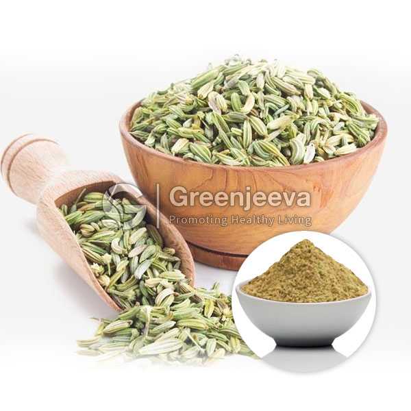 Fennel Seed Extract Powder 10:1