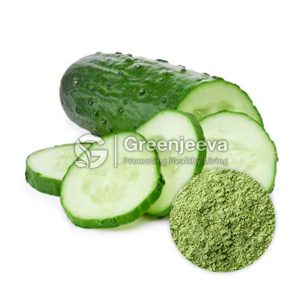 Cucumber Extract Powder 4:1