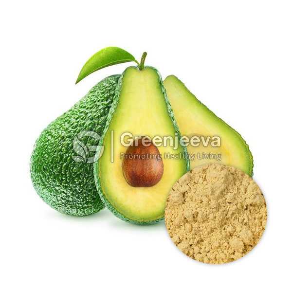 Avocado Fruit Powder
