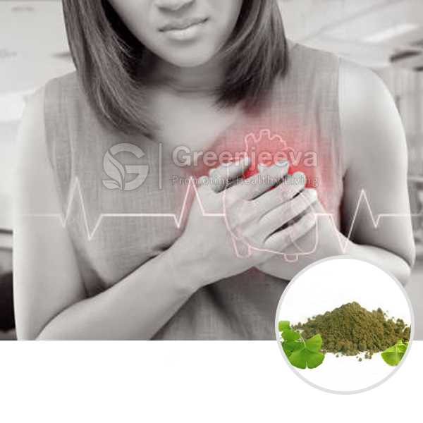 Gingko leaf Extract Powder 6:1