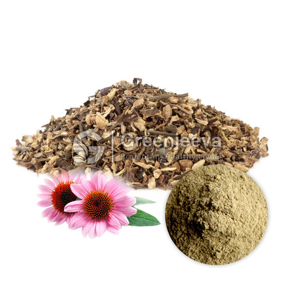Echinacea Root powder 