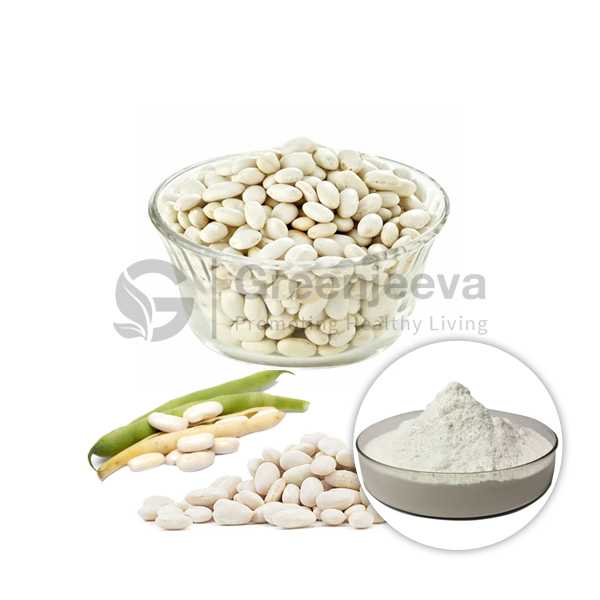 White Kidney Bean Extract Powder 4:1
